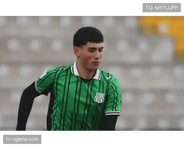 数据驱动崛起，萨索洛意甲赛季表现稳健重塑球队新生态